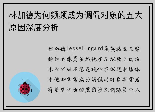 林加德为何频频成为调侃对象的五大原因深度分析